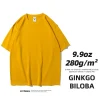 ginkgo-biloba